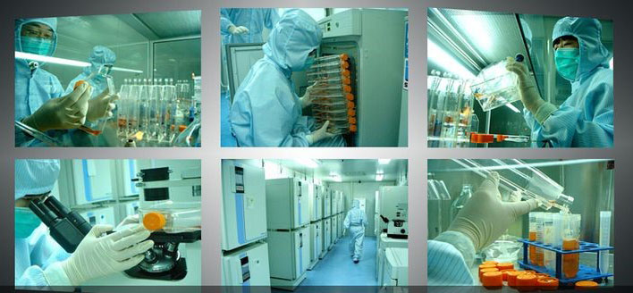 Cell Therapy<br />
Turnkey Project