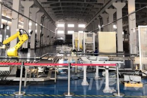 Pharmaceutical and Medical Automatic Packaging System