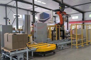 Pharmaceutical and Medical Automatic Packaging System