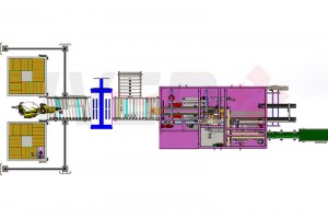 Pharmaceutical and Medical Automatic Packaging System