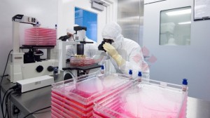 Cell Therapy Turnkey Project