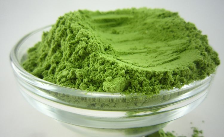 herb extraction production line