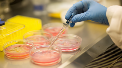 Understanding the Role of Bioreactor Manufacturers in Sustainable Biotechnology